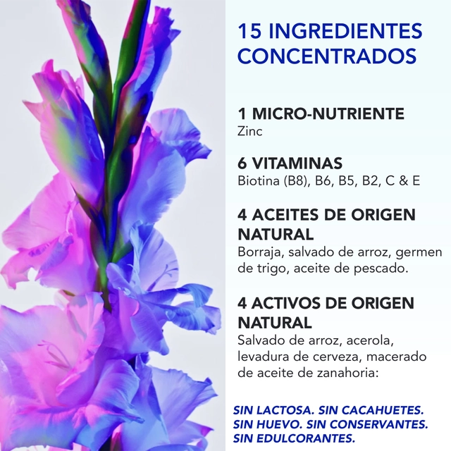PHYTO PHYTOPHANERE 2X120 CAPSULAS