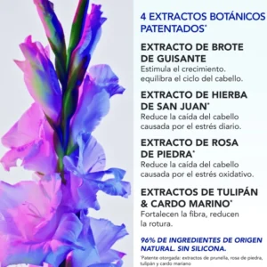 PHYTOPHANERE ANTICAIDA REWACCIONAL 12 AMPOLLAS 12X5ML