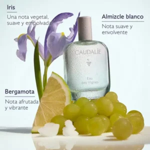 AGUA FRESCA EAU DE VIGNES 50 ML