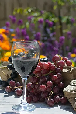 el-vino-es-antioxidante-trans-resveratrol