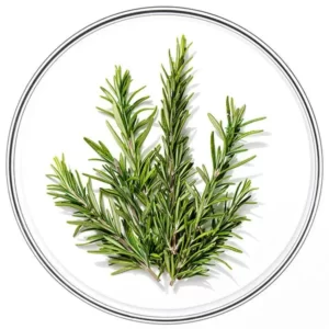 PHYTOCYANE CHAMPU