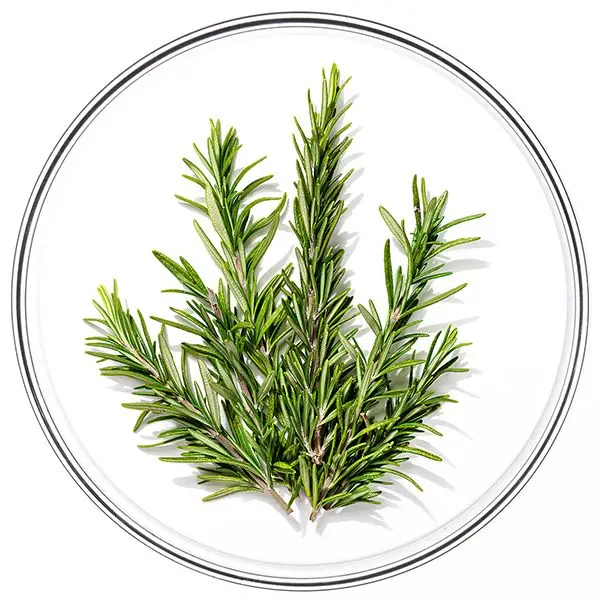PHYTOCYANE CHAMPU