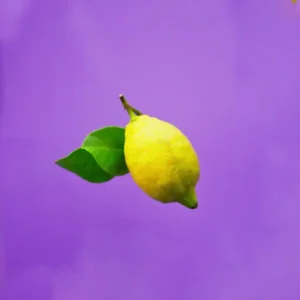 ROGER GALLET FEUILLE DE THE CREMAS DE MANOS 30 ML