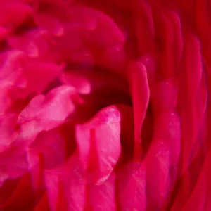 ROGER GALLET ROUGE LECHE CORPORAL 250 ML