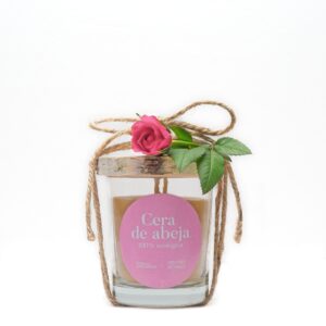 ELVIAJEDEEGERIA VELA