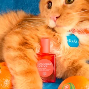 MANDARINE DOUDOU