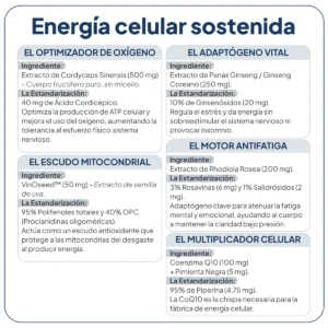 ENERGYUP 60 CAPSULAS