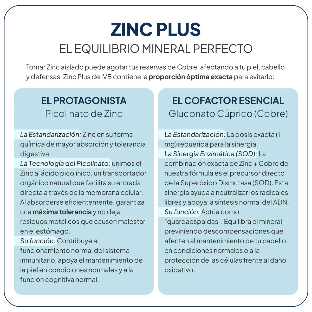 IVB ZINC PLUS 60 CAPSULAS