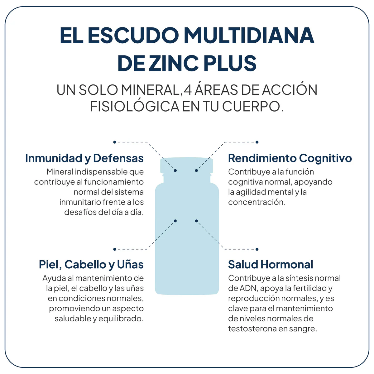IVB ZINC PLUS 60 CAPSULAS